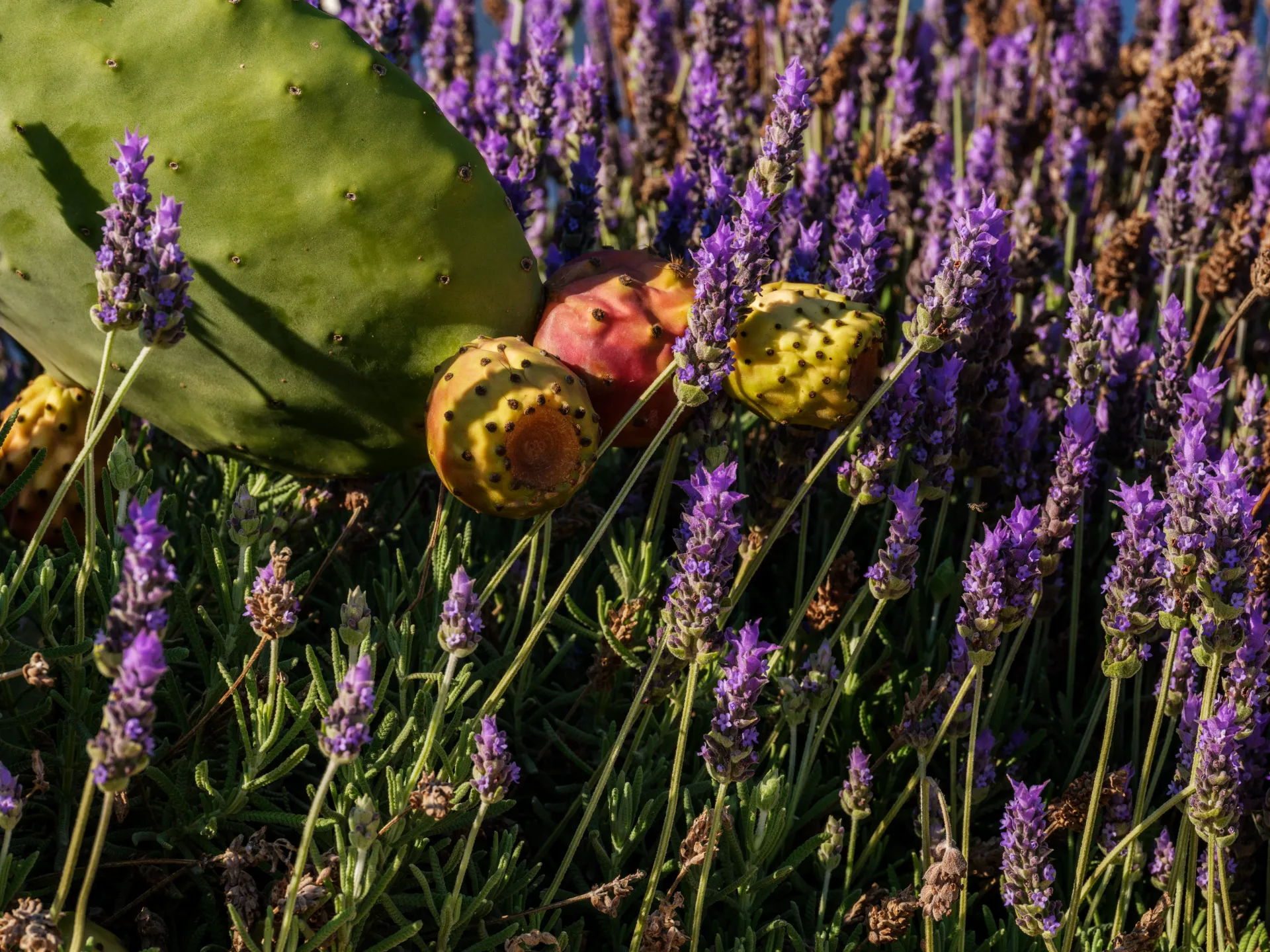 andreas_bekas_2024_web-86